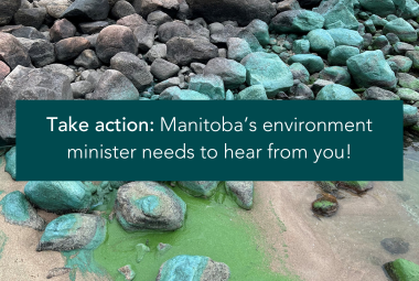 Take action: Manitoba’s environment minister needs to hear from you!