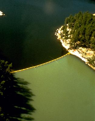 A lake split in half by a curtain. The bottom half is green with algal blooms; the top half appears normal.