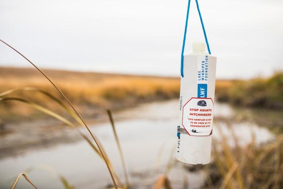 A water sampler with wetland in background.