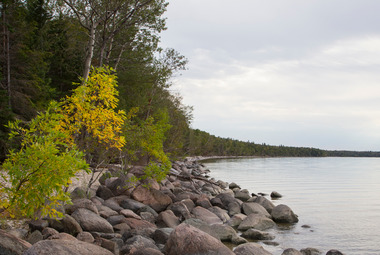 A rocky tree-lined lake shoreline in autumn