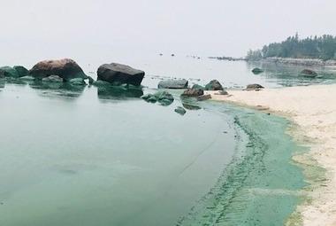 Algae coating rocks and sand at a Lake Winnipeg beach