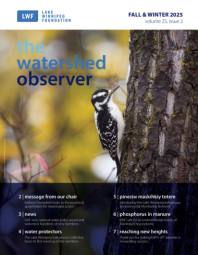 Cover image of the fall & winter 2025