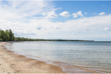 Join us for LWF's AGM