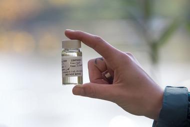 A closeup of a hand holding a vial of water